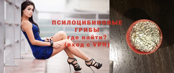 сатива Верхнеуральск