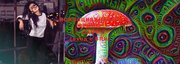 сатива Верхнеуральск
