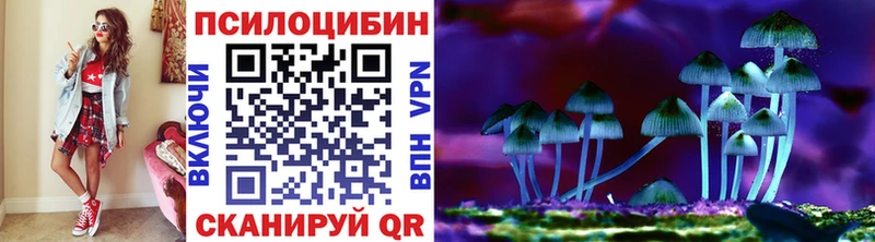 купить наркотик  Игра  Галлюциногенные грибы Psilocybe 
